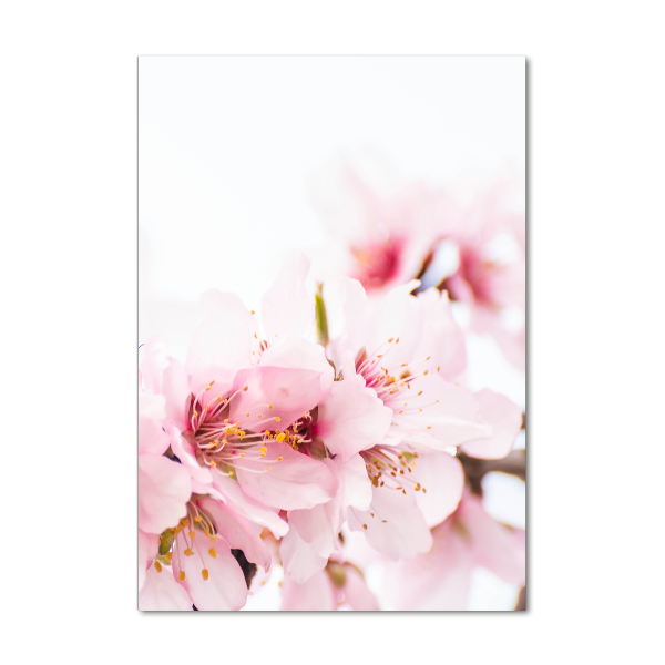 Staand foto in plexiglas Amandelbloesems