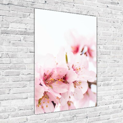 Staand foto in plexiglas Amandelbloesems