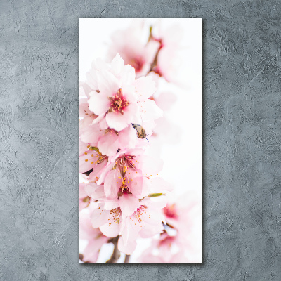 Staand foto in plexiglas Amandelbloesems
