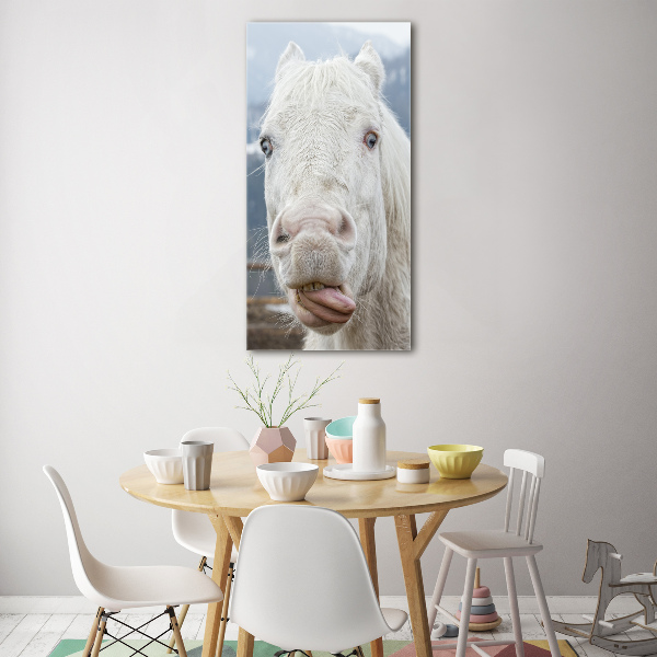 Staand foto in plexiglas Gek wit paard
