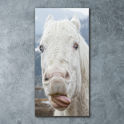Staand foto in plexiglas Gek wit paard