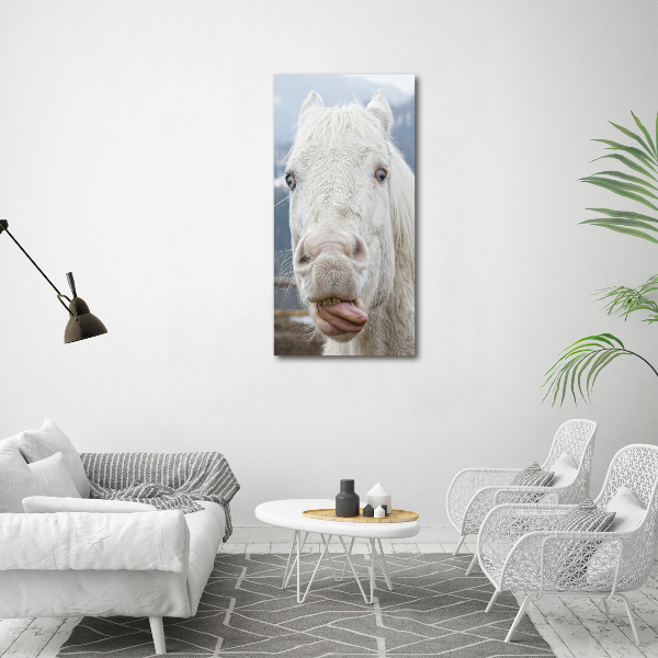 Staand foto in plexiglas Gek wit paard