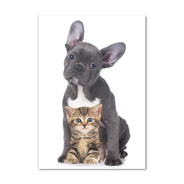 Staand foto op plexiglas Hond en kat