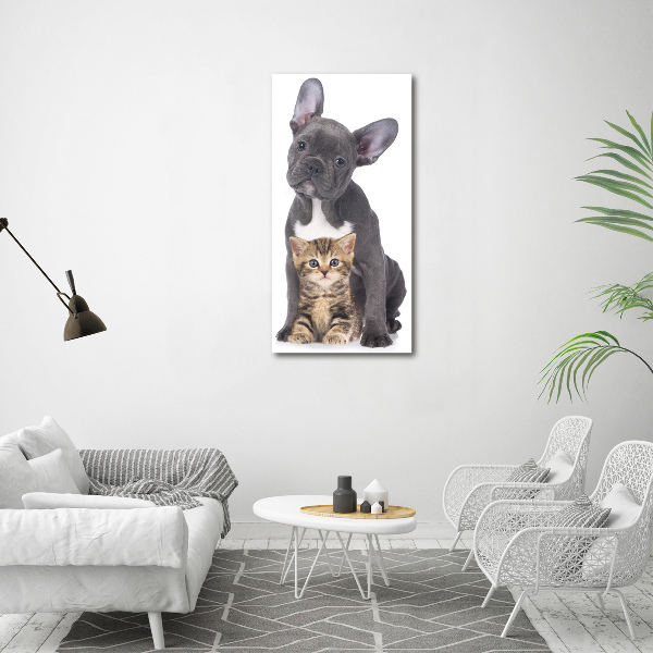 Staand foto op plexiglas Hond en kat