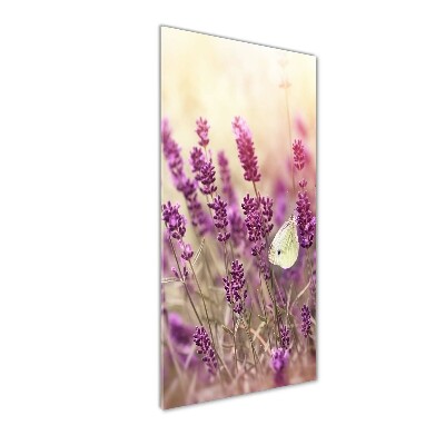Staand foto plexiglas Lavendelbloemen