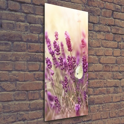 Staand foto plexiglas Lavendelbloemen