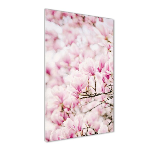 Staand plexiglas foto Magnolia bloemen