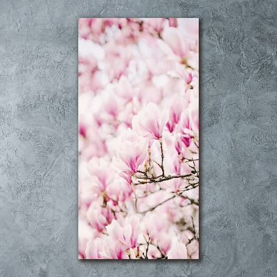 Staand plexiglas foto Magnolia bloemen