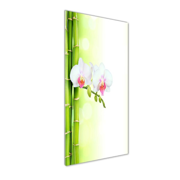 Staand foto op plexiglas Orchidee en bamboe