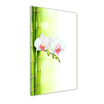 Staand foto op plexiglas Orchidee en bamboe