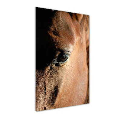 Staand foto in plexiglas Paard
