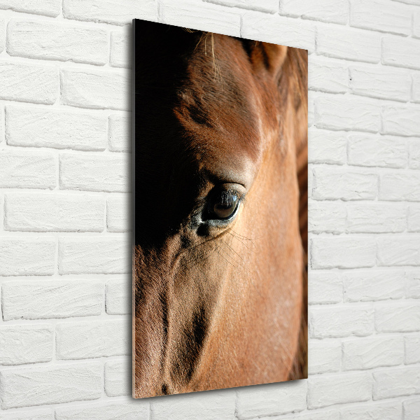 Staand foto in plexiglas Paard