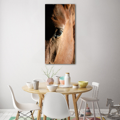 Staand foto in plexiglas Paard