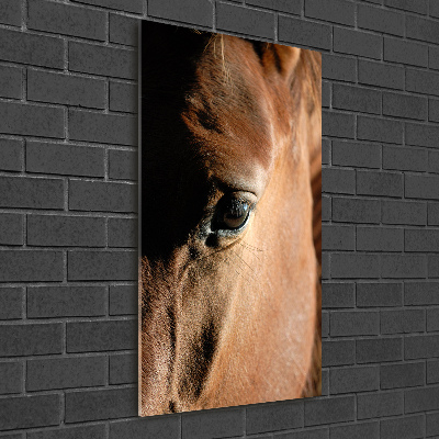 Staand foto in plexiglas Paard
