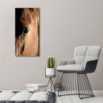 Staand foto in plexiglas Paard