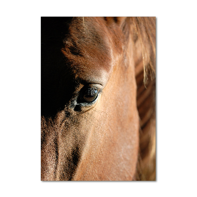 Staand foto in plexiglas Paard