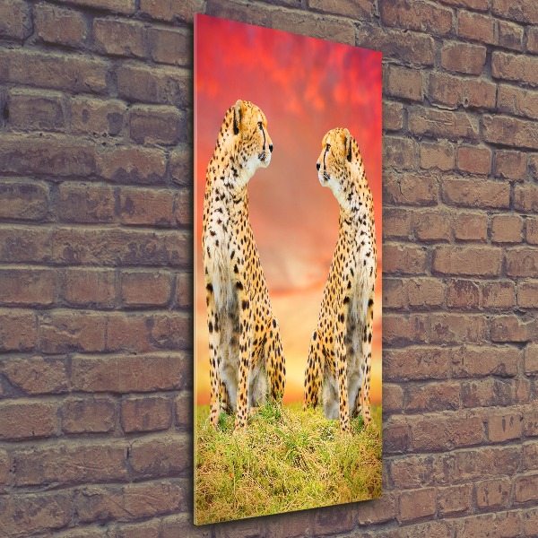 Staand foto op plexiglas Twee cheetahs