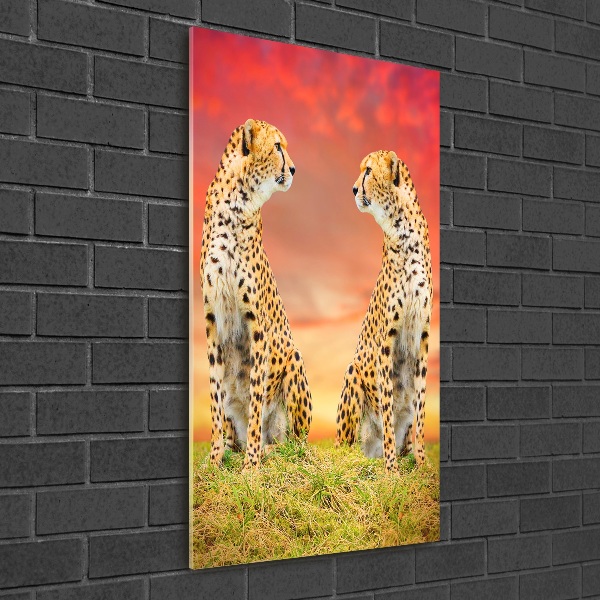 Staand foto op plexiglas Twee cheetahs