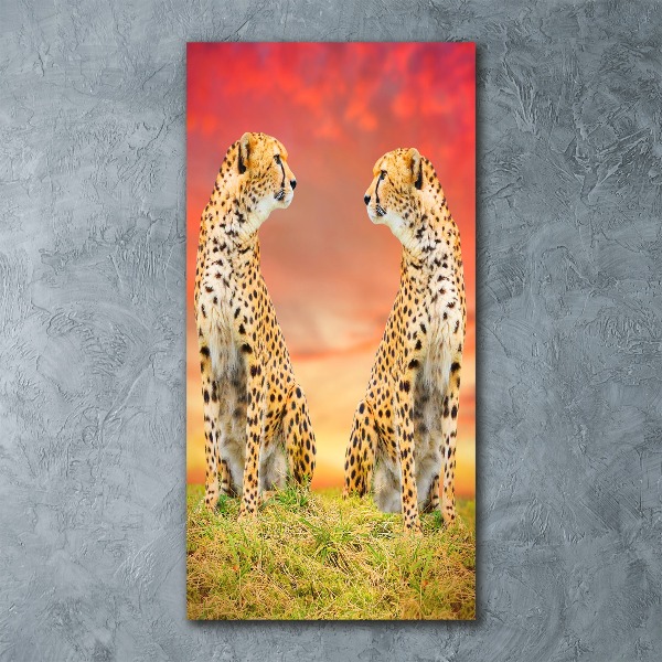 Staand foto op plexiglas Twee cheetahs