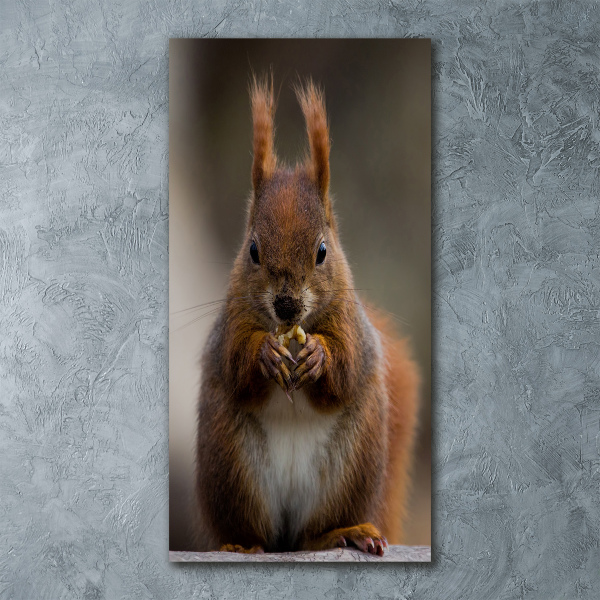 Staand plexiglas foto Eekhoorn