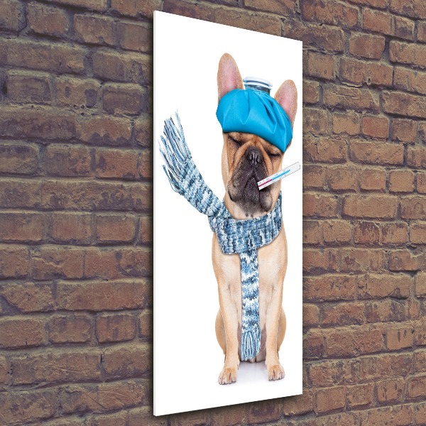 Staand plexiglas foto Zieke hond