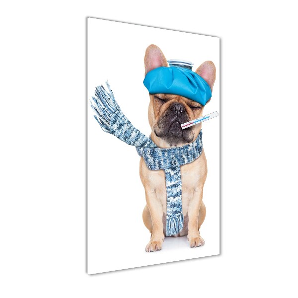 Staand plexiglas foto Zieke hond