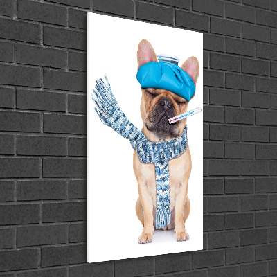 Staand plexiglas foto Zieke hond