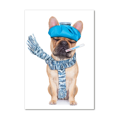 Staand plexiglas foto Zieke hond