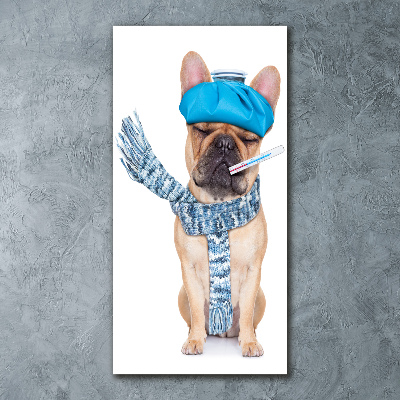Staand plexiglas foto Zieke hond