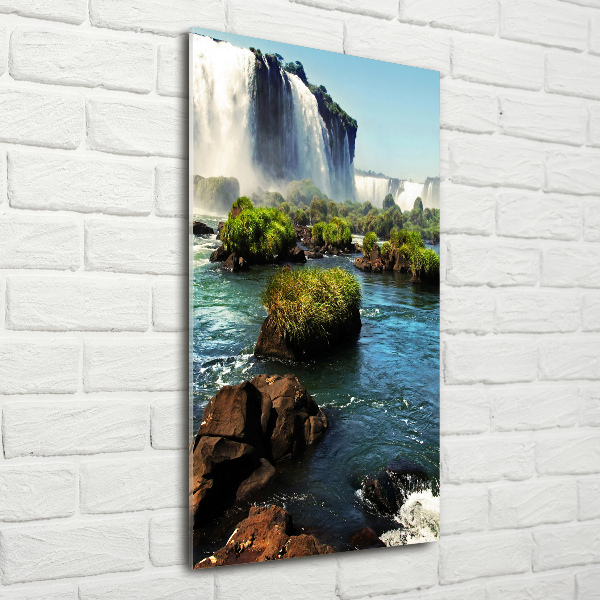 Staand plexiglas foto Igazu-waterval