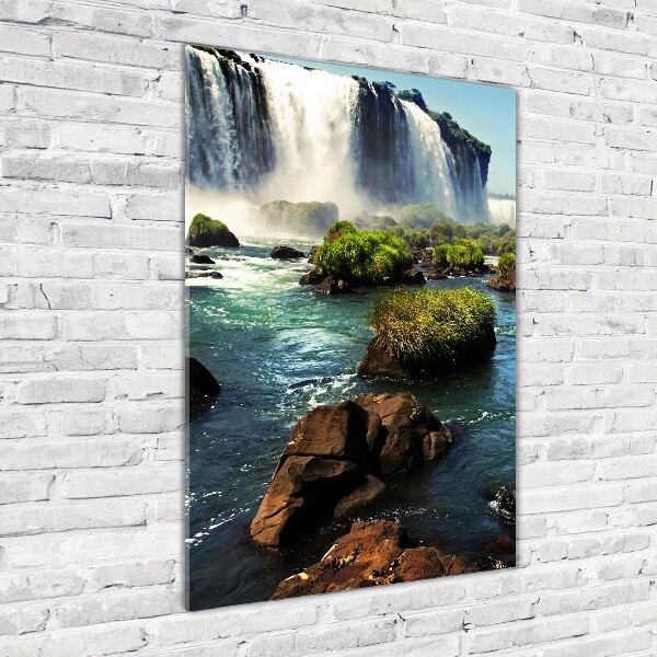 Staand plexiglas foto Igazu-waterval