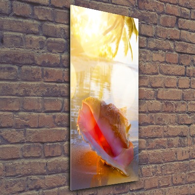 Staand foto in plexiglas Een schelp op het strand