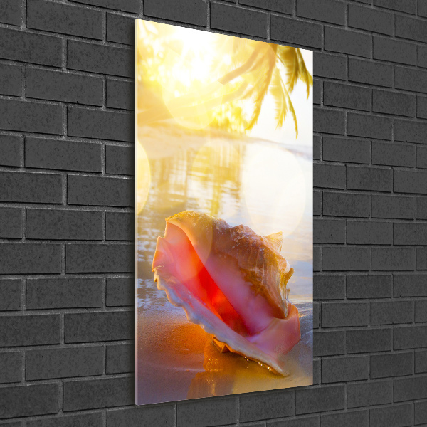 Staand foto in plexiglas Een schelp op het strand