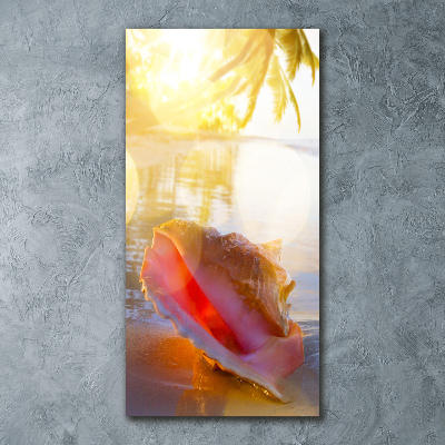 Staand foto in plexiglas Een schelp op het strand