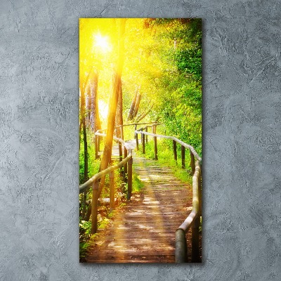 Staand plexiglas foto Pad in het bos