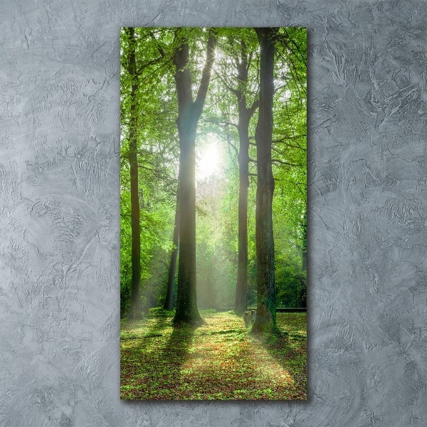 Staand foto plexiglas De zon in het bos