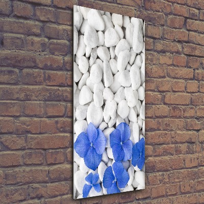 Staand foto plexiglas Hortensia-stenen