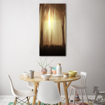 Staand plexiglas foto Mist in het bos