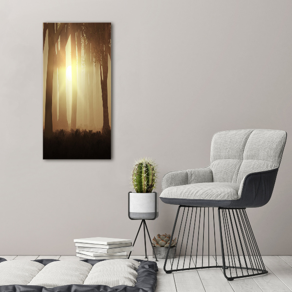 Staand plexiglas foto Mist in het bos