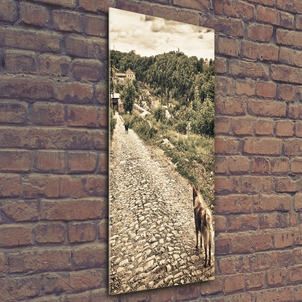 Staand plexiglas foto Twee honden van de heuvel