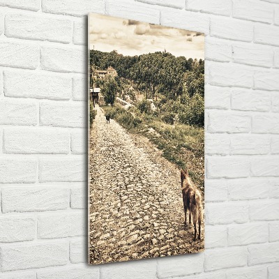 Staand plexiglas foto Twee honden van de heuvel