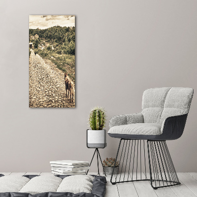 Staand plexiglas foto Twee honden van de heuvel