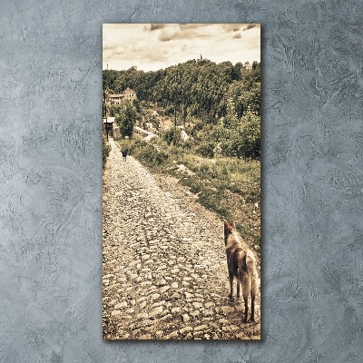 Staand plexiglas foto Twee honden van de heuvel