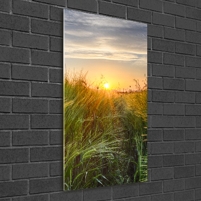 Staand plexiglas foto Tarweveld