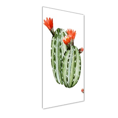 Staand foto plexiglas Cactussen