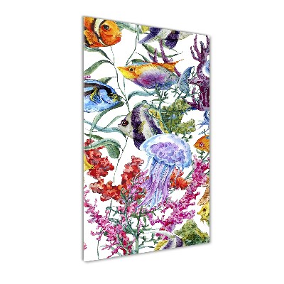 Staand plexiglas foto Onderwaterwereld