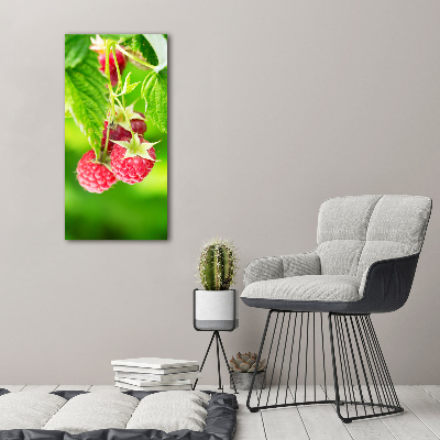 Staand foto op plexiglas Frambozen aan de struik
