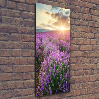 Staand plexiglas foto Lavendelveld