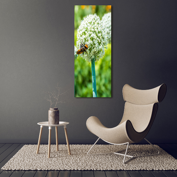 Staand plexiglas foto Knoflookbloemen