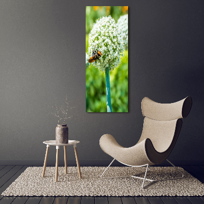 Staand plexiglas foto Knoflookbloemen